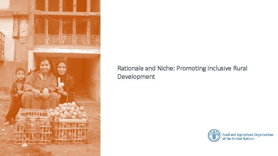 Rationale and Niche: Promoting Inclusive Rural Development 