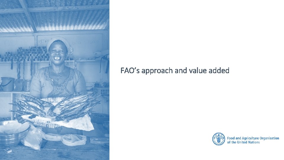 FAO’s approach and value added 