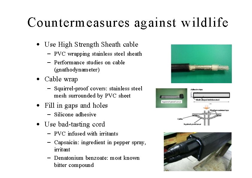 Countermeasures against w ildlife • Use High Strength Sheath cable – PVC wrapping stainless