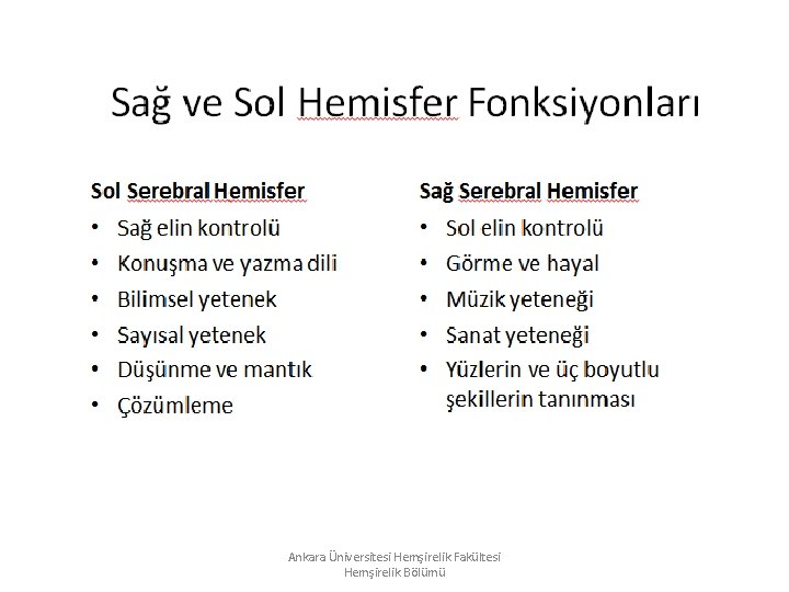 Ankara Üniversitesi Hemşirelik Fakültesi Hemşirelik Bölümü Ankara Üniversitesi Hemşirelik Fakültesi Hemşirelik Bölümü