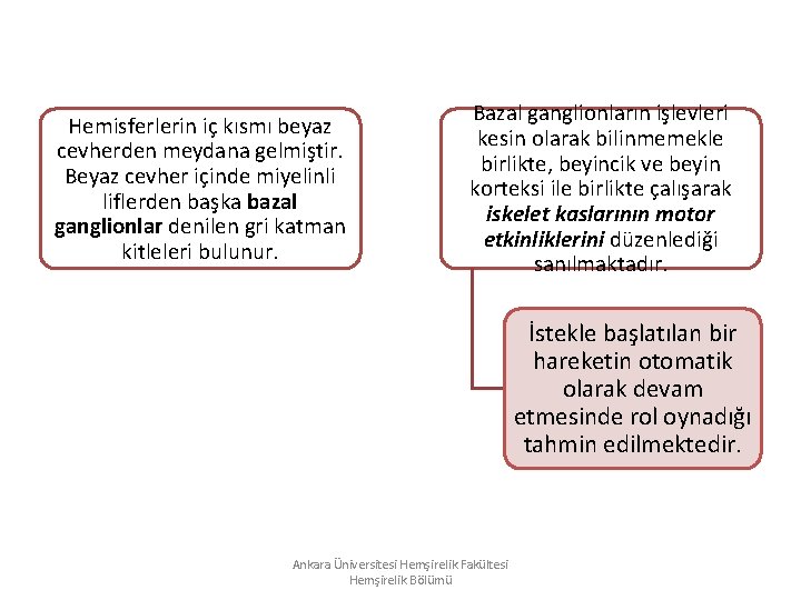 Hemisferlerin iç kısmı beyaz cevherden meydana gelmiştir. Beyaz cevher içinde miyelinli liflerden başka bazal Hemisferlerin iç kısmı beyaz cevherden meydana gelmiştir. Beyaz cevher içinde miyelinli liflerden başka bazal