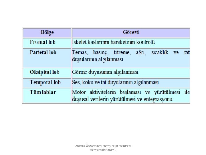 Ankara Üniversitesi Hemşirelik Fakültesi Hemşirelik Bölümü Ankara Üniversitesi Hemşirelik Fakültesi Hemşirelik Bölümü