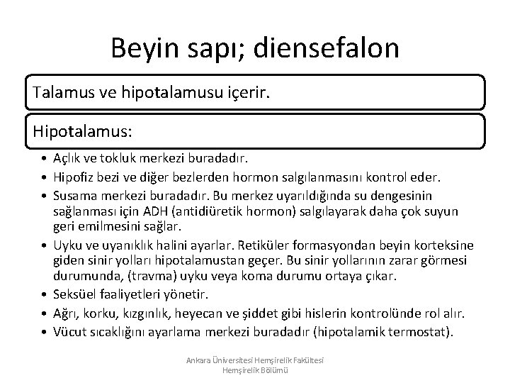 Beyin sapı; diensefalon Talamus ve hipotalamusu içerir. Hipotalamus: • Açlık ve tokluk merkezi buradadır. Beyin sapı; diensefalon Talamus ve hipotalamusu içerir. Hipotalamus: • Açlık ve tokluk merkezi buradadır.