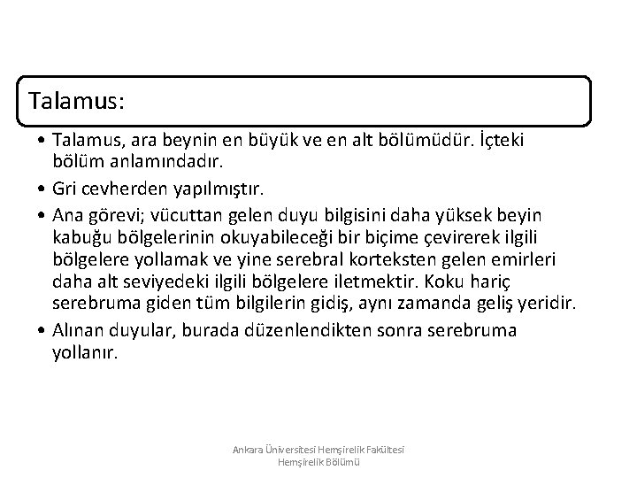 Talamus: • Talamus, ara beynin en büyük ve en alt bölümüdür. İçteki bölüm anlamındadır. Talamus: • Talamus, ara beynin en büyük ve en alt bölümüdür. İçteki bölüm anlamındadır.