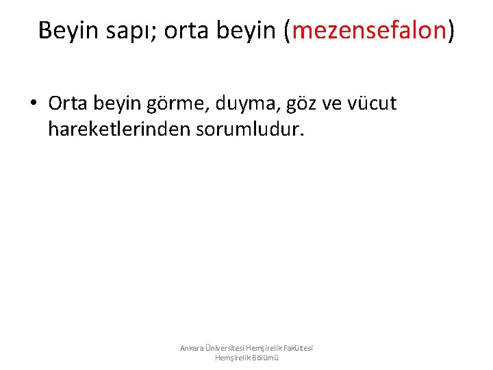 Beyin sapı; orta beyin (mezensefalon) • Orta beyin görme, duyma, göz ve vücut hareketlerinden Beyin sapı; orta beyin (mezensefalon) • Orta beyin görme, duyma, göz ve vücut hareketlerinden