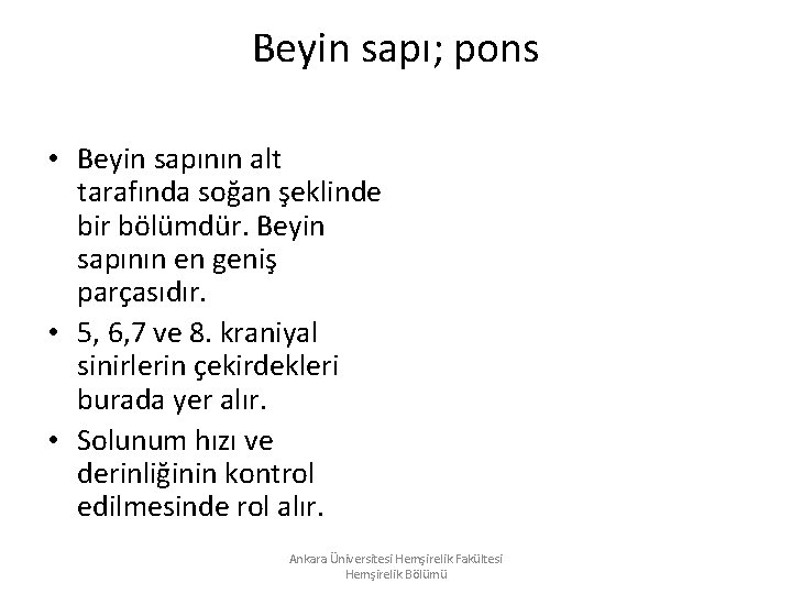 Beyin sapı; pons • Beyin sapının alt tarafında soğan şeklinde bir bölümdür. Beyin sapının Beyin sapı; pons • Beyin sapının alt tarafında soğan şeklinde bir bölümdür. Beyin sapının