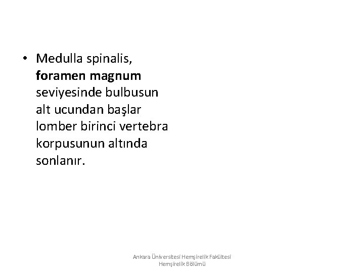 • Medulla spinalis, foramen magnum seviyesinde bulbusun alt ucundan başlar lomber birinci vertebra • Medulla spinalis, foramen magnum seviyesinde bulbusun alt ucundan başlar lomber birinci vertebra