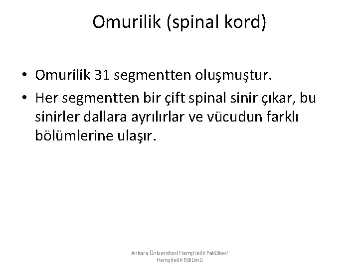 Omurilik (spinal kord) • Omurilik 31 segmentten oluşmuştur. • Her segmentten bir çift spinal Omurilik (spinal kord) • Omurilik 31 segmentten oluşmuştur. • Her segmentten bir çift spinal