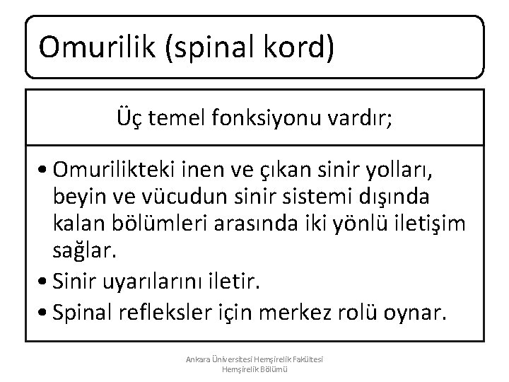 Omurilik (spinal kord) Üç temel fonksiyonu vardır; • Omurilikteki inen ve çıkan sinir yolları, Omurilik (spinal kord) Üç temel fonksiyonu vardır; • Omurilikteki inen ve çıkan sinir yolları,