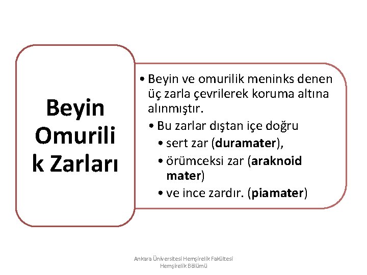 Beyin Omurili k Zarları • Beyin ve omurilik meninks denen üç zarla çevrilerek koruma Beyin Omurili k Zarları • Beyin ve omurilik meninks denen üç zarla çevrilerek koruma
