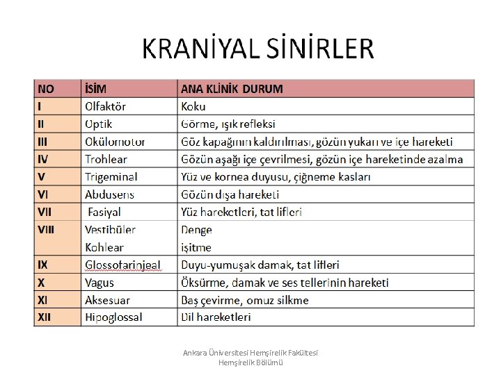 Ankara Üniversitesi Hemşirelik Fakültesi Hemşirelik Bölümü Ankara Üniversitesi Hemşirelik Fakültesi Hemşirelik Bölümü