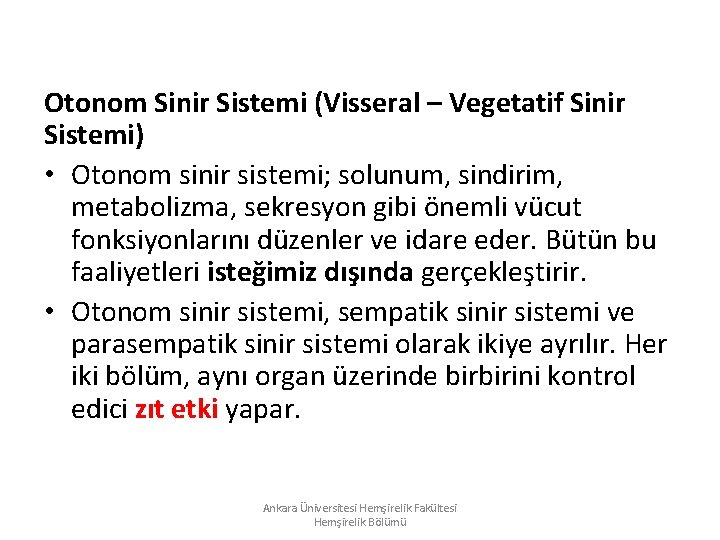 Otonom Sinir Sistemi (Visseral – Vegetatif Sinir Sistemi) • Otonom sinir sistemi; solunum, sindirim, Otonom Sinir Sistemi (Visseral – Vegetatif Sinir Sistemi) • Otonom sinir sistemi; solunum, sindirim,