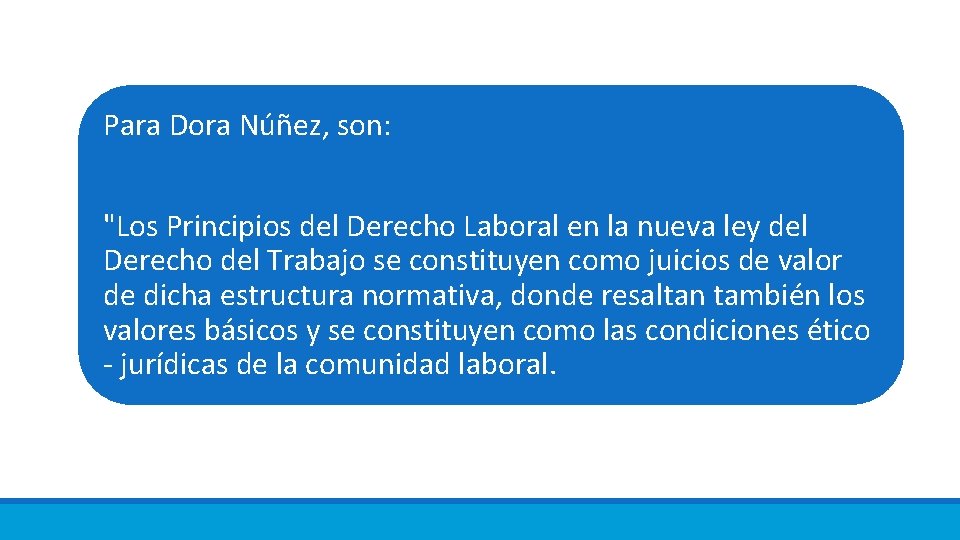 Para Dora Núñez, son: "Los Principios del Derecho Laboral en la nueva ley del