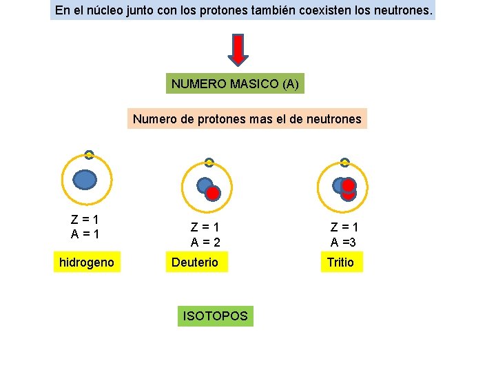 En el núcleo junto con los protones también coexisten los neutrones. NUMERO MASICO (A) En el núcleo junto con los protones también coexisten los neutrones. NUMERO MASICO (A)