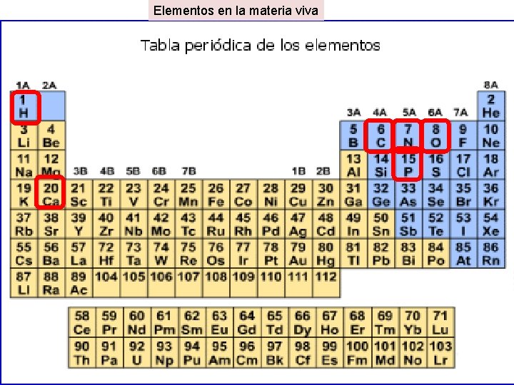 Elementos en la materia viva Elementos en la materia viva