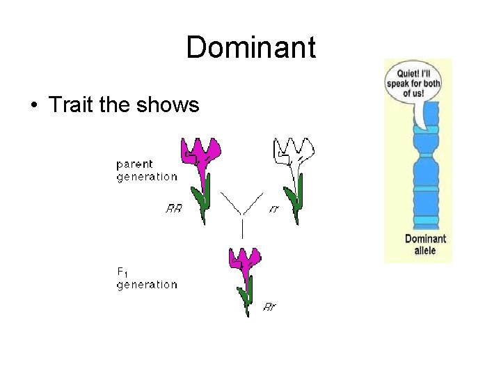 Dominant • Trait the shows 
