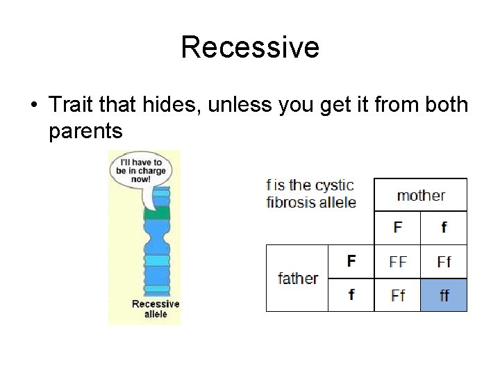 Recessive • Trait that hides, unless you get it from both parents 