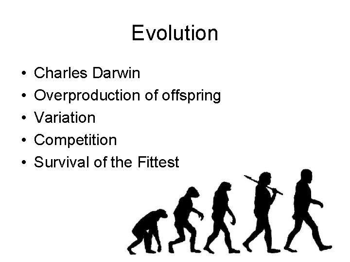 Evolution • • • Charles Darwin Overproduction of offspring Variation Competition Survival of the