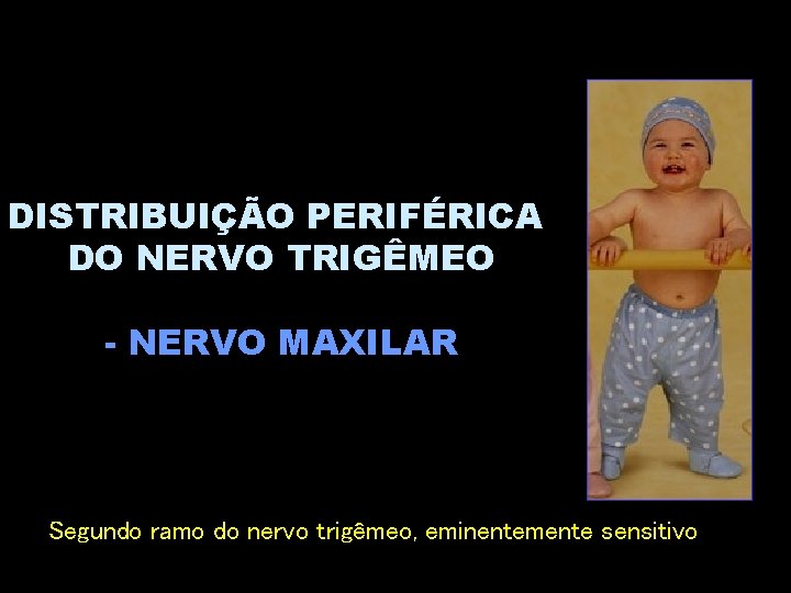 DISTRIBUIÇÃO PERIFÉRICA DO NERVO TRIGÊMEO - NERVO MAXILAR Segundo ramo do nervo trigêmeo, eminentemente