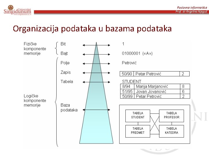 Poslovna informatika Prof. dr Angelina Njeguš Organizacija podataka u bazama podataka 