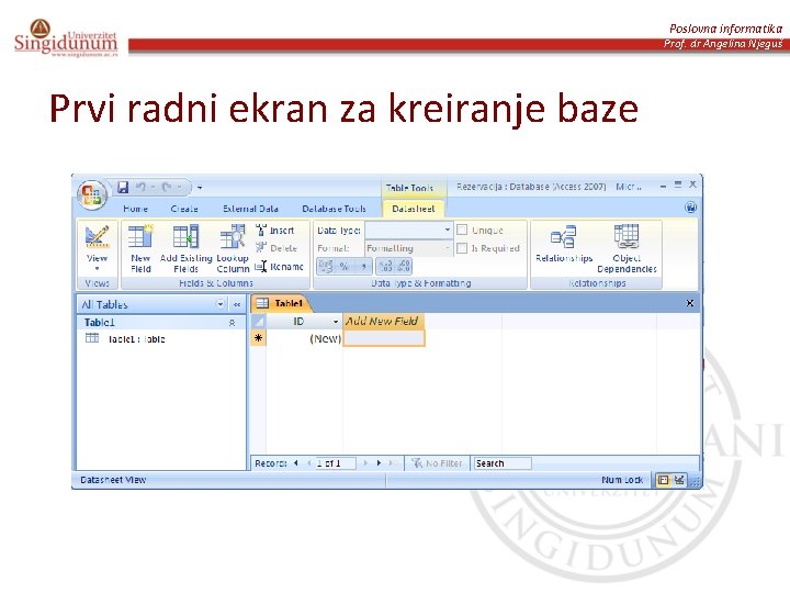 Poslovna informatika Prof. dr Angelina Njeguš Prvi radni ekran za kreiranje baze 