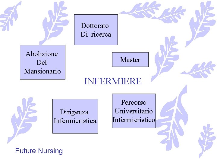 Dottorato Di ricerca Abolizione Del Mansionario Master INFERMIERE Dirigenza Infermieristica Future Nursing Percorso Universitario