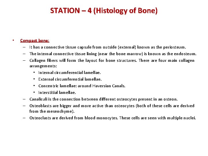 STATION – 4 (Histology of Bone) • Compact bone: – It has a connective