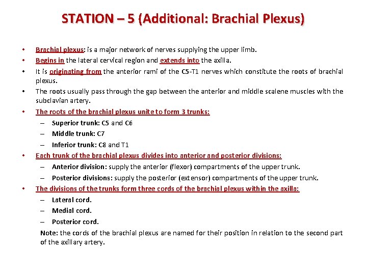 STATION – 5 (Additional: Brachial Plexus) • • Brachial plexus: is a major network