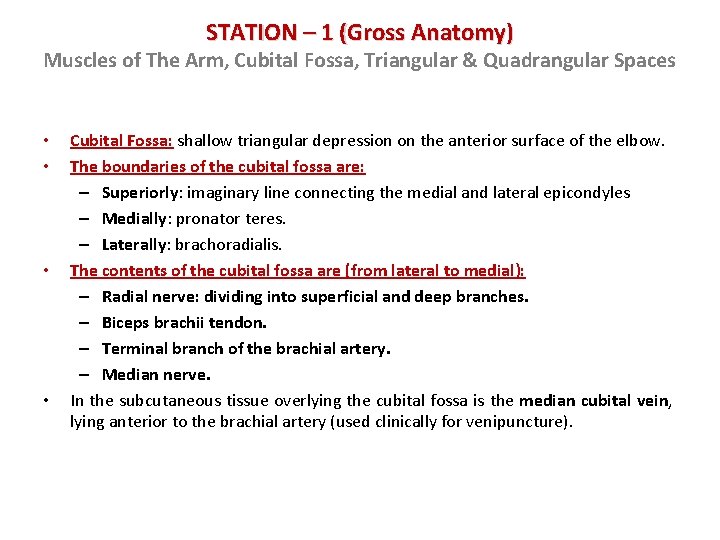 STATION – 1 (Gross Anatomy) Muscles of The Arm, Cubital Fossa, Triangular & Quadrangular