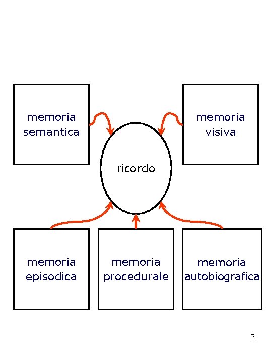 memoria semantica memoria visiva ricordo memoria episodica memoria procedurale memoria autobiografica 2 