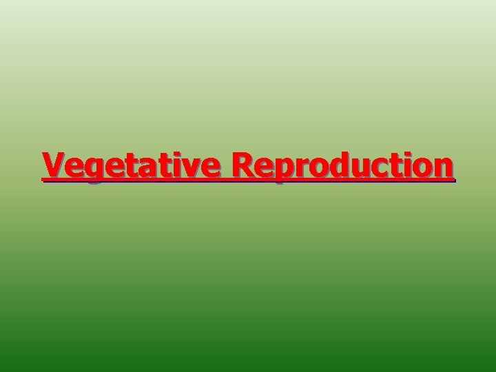 Vegetative Reproduction 