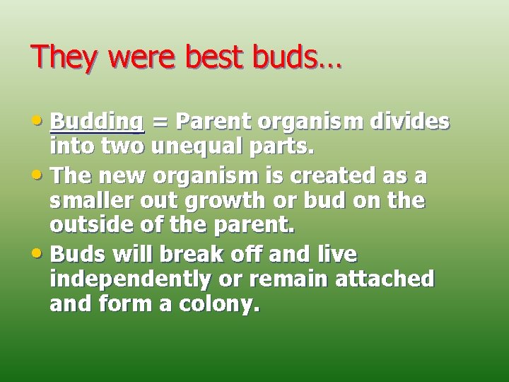 They were best buds… • Budding = Parent organism divides into two unequal parts.