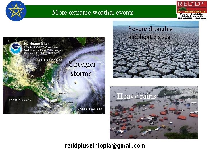 More extreme weather events Severe droughts and heat waves Stronger storms Heavy rains reddplusethiopia@gmail.