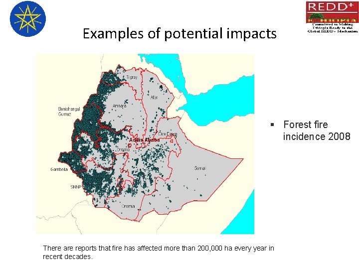Examples of potential impacts § Forest fire incidence 2008 There are reports that fire