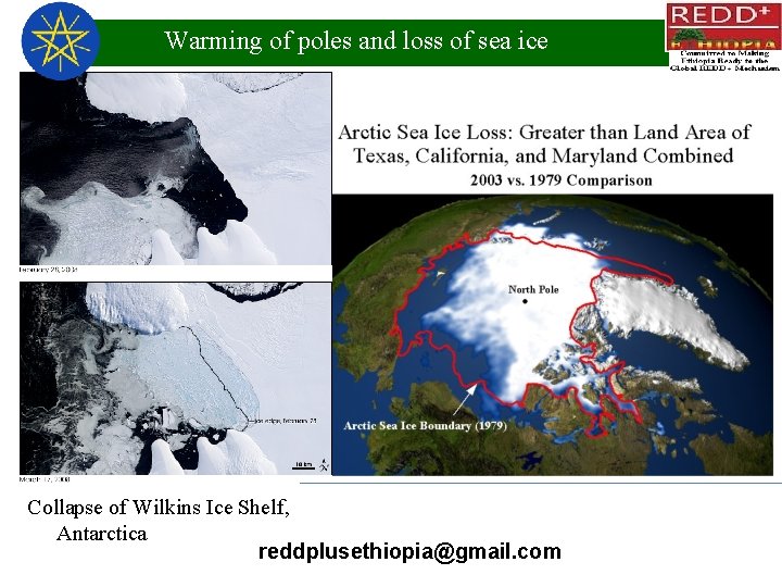 Warming of poles and loss of sea ice Collapse of Wilkins Ice Shelf, Antarctica