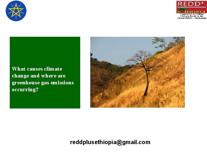 What causes climate change and where are greenhouse gas emissions occurring? reddplusethiopia@gmail. com 