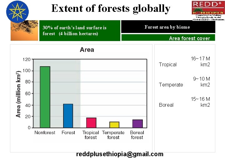 Extent of forests globally 30% of earth’s land surface is forest (4 billion hectares)