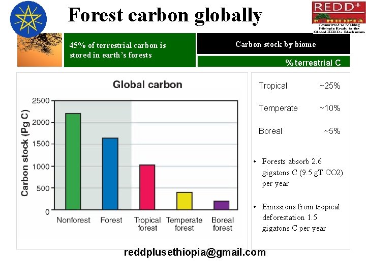 Forest carbon globally 45% of terrestrial carbon is stored in earth’s forests Carbon stock