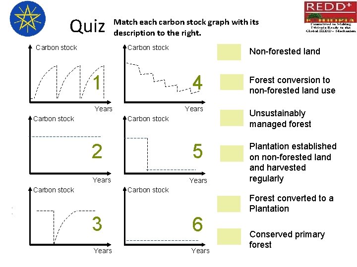 Quiz Carbon stock Match each carbon stock graph with its description to the right.