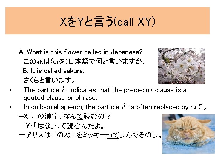 XをYと言う(call XY) A: What is this flower called in Japanese? この花は(orを)日本語で何と言いますか。 B: It is XをYと言う(call XY) A: What is this flower called in Japanese? この花は(orを)日本語で何と言いますか。 B: It is