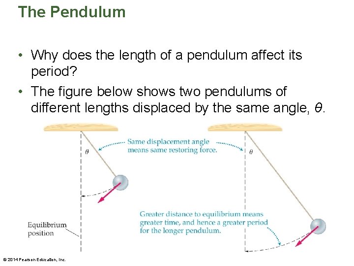 The Pendulum • Why does the length of a pendulum affect its period? •
