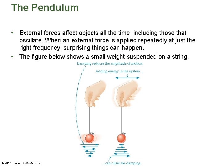 The Pendulum • External forces affect objects all the time, including those that oscillate.