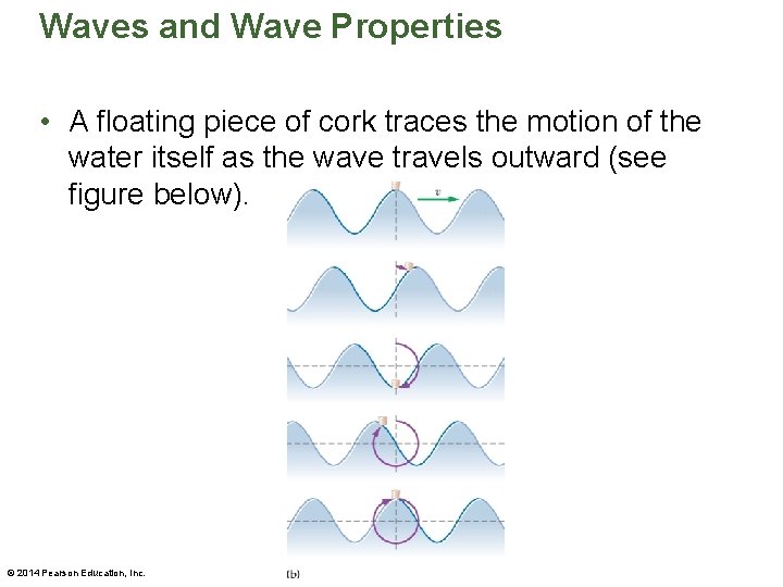 Waves and Wave Properties • A floating piece of cork traces the motion of