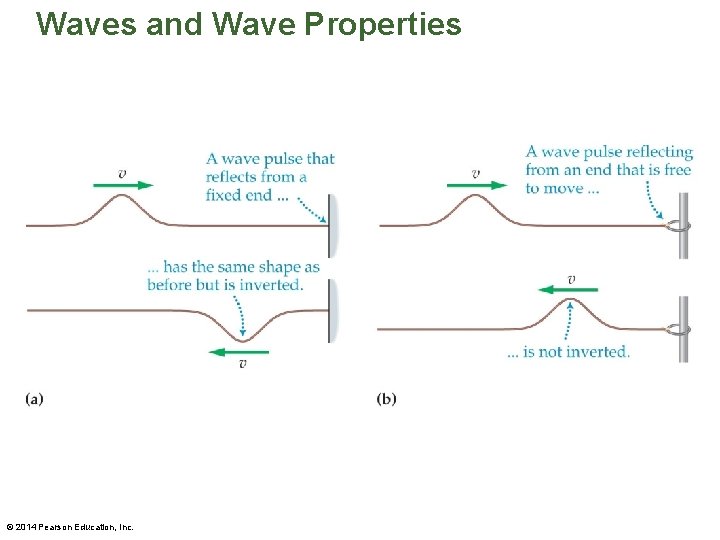 Waves and Wave Properties © 2014 Pearson Education, Inc. 