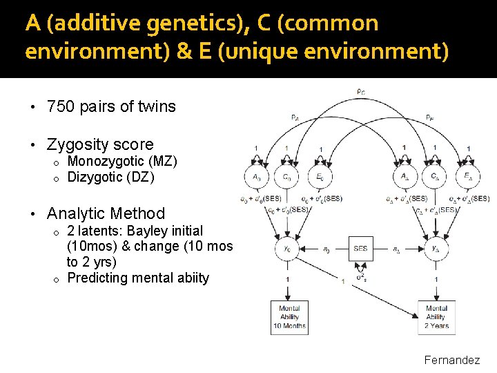 A (additive genetics), C (common environment) & E (unique environment) • 750 pairs of A (additive genetics), C (common environment) & E (unique environment) • 750 pairs of