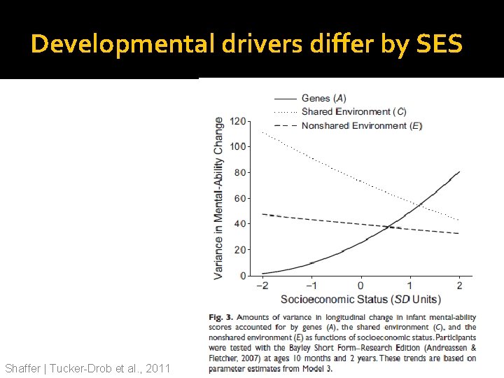 Developmental drivers differ by SES Shaffer | Tucker-Drob et al. , 2011 Developmental drivers differ by SES Shaffer | Tucker-Drob et al. , 2011