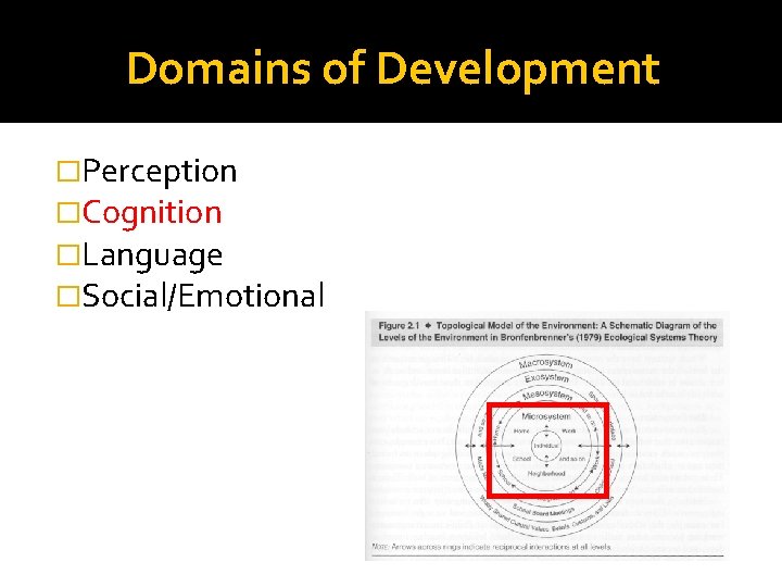 Domains of Development �Perception �Cognition �Language �Social/Emotional Domains of Development �Perception �Cognition �Language �Social/Emotional