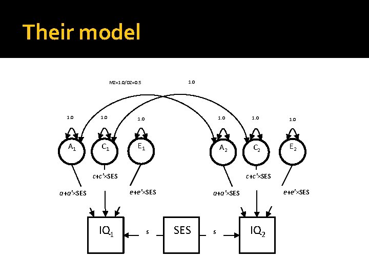 Their model 1. 0 MZ=1. 0/DZ=0. 5 1. 0 1. 0 A 1 C Their model 1. 0 MZ=1. 0/DZ=0. 5 1. 0 1. 0 A 1 C