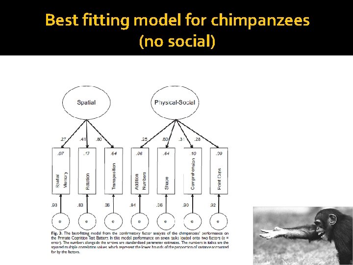 Best fitting model for chimpanzees (no social) Best fitting model for chimpanzees (no social)
