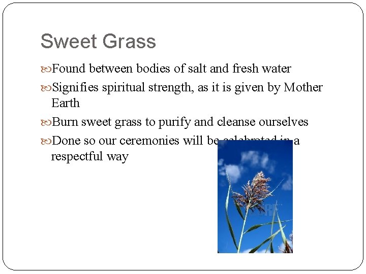 Sweet Grass Found between bodies of salt and fresh water Signifies spiritual strength, as